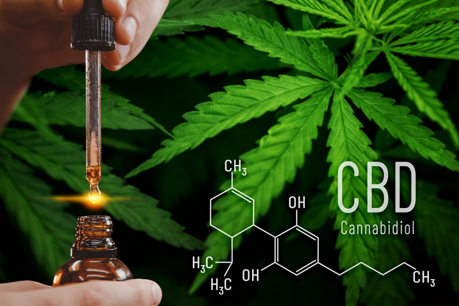 8 Things to Know Before Buying CBD Oil