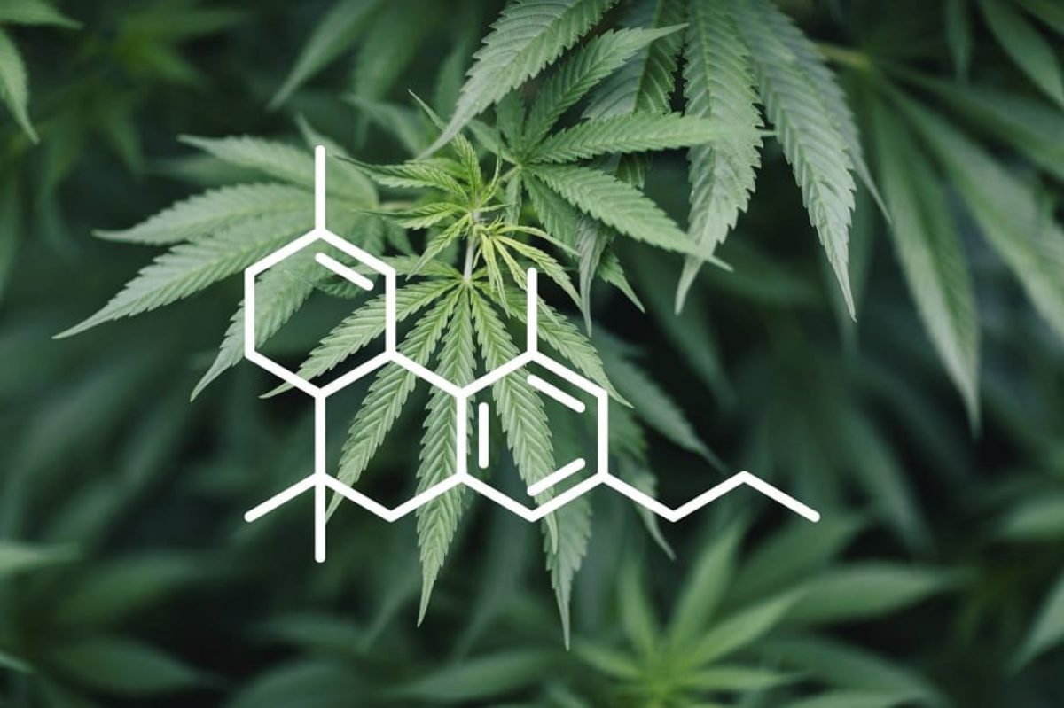 Four Newer Cannabinoids and Their Benefits